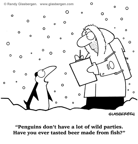 483x504 Penguin Cartoons