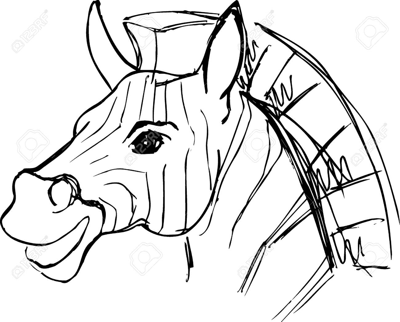 1300x1046 Drawing Sketch Of A Zebra Cartoon Portrait Royalty Free Cliparts