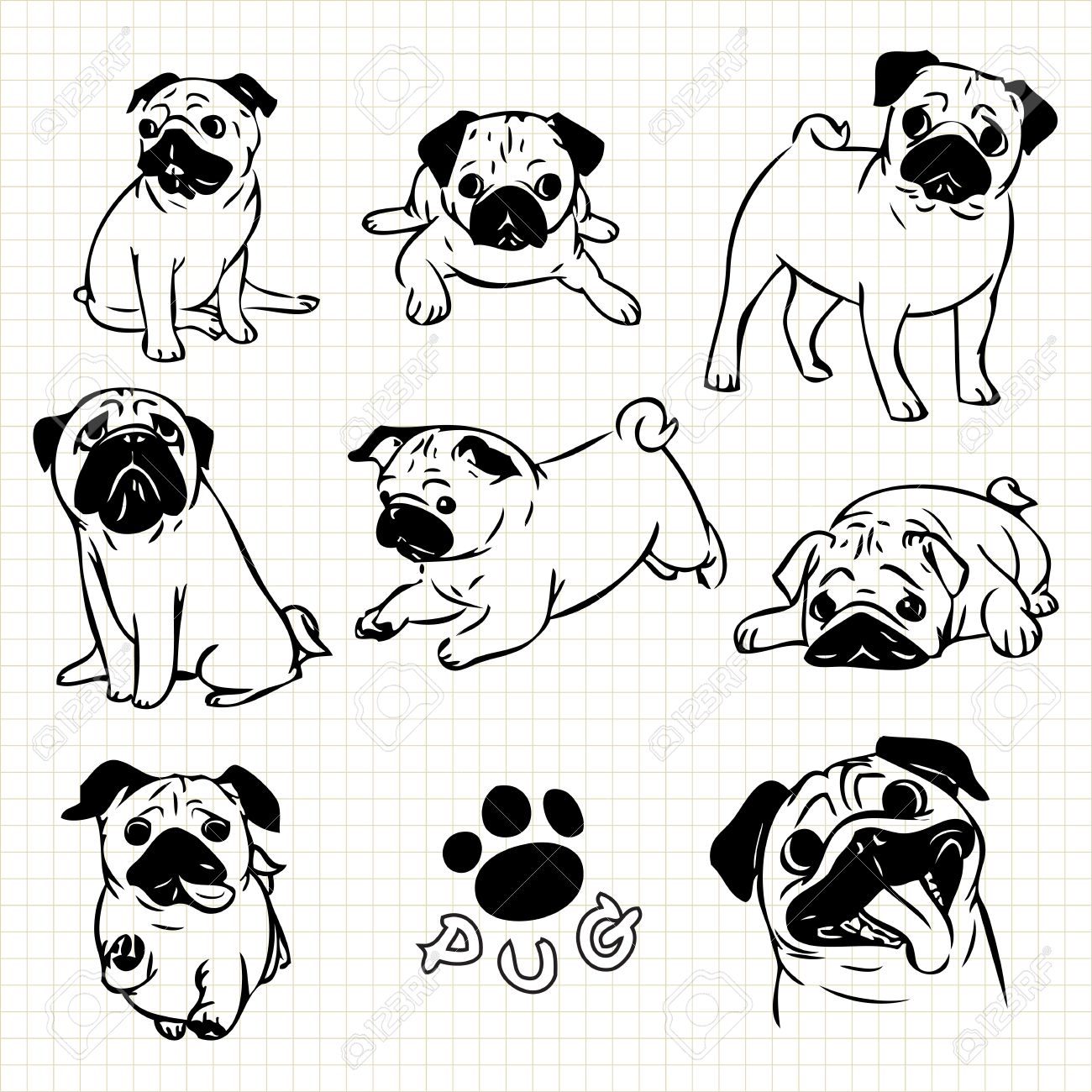 1300x1300 Line Drawing Of Pug Dog Set On Grid Paper Use For Elements