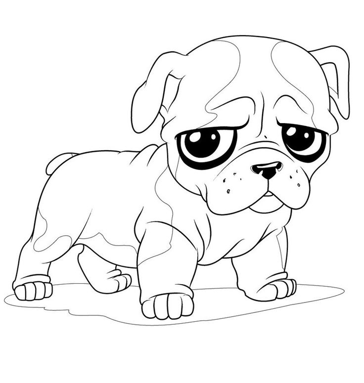 736x775 Pug Coloring Pages
