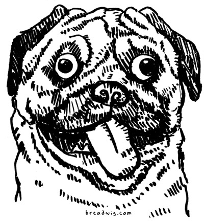 Cartoon Pug Drawing at GetDrawings | Free download