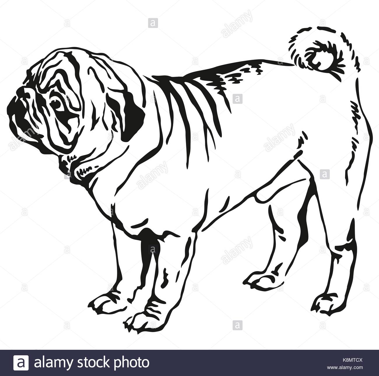 1300x1290 Pug Stock Vector Images