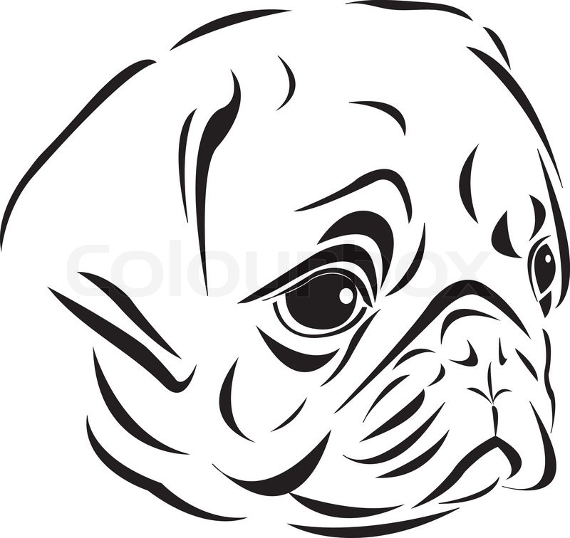 800x756 The Line Art Style Of Pug' Head Stock Vector Colourbox