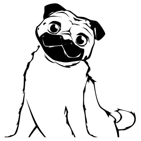 480x480 Cartoon Pug Wall Sticker Petite Penguin