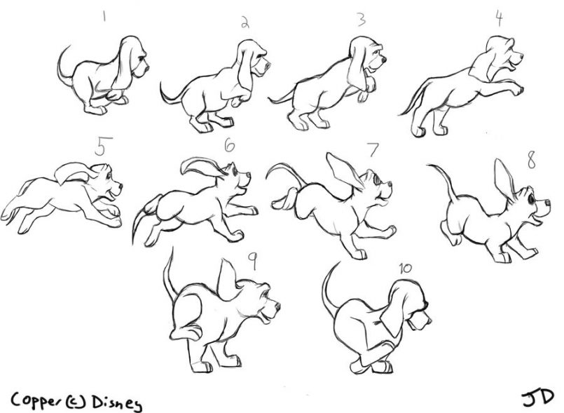 805x589 Drawing Cartoon Pet Drawings In Conjunction With Cartoon Puppy