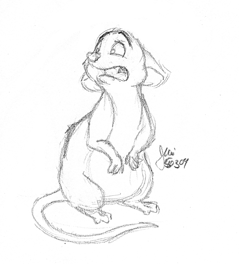 816x900 Quick Rat Sketch By Elipse