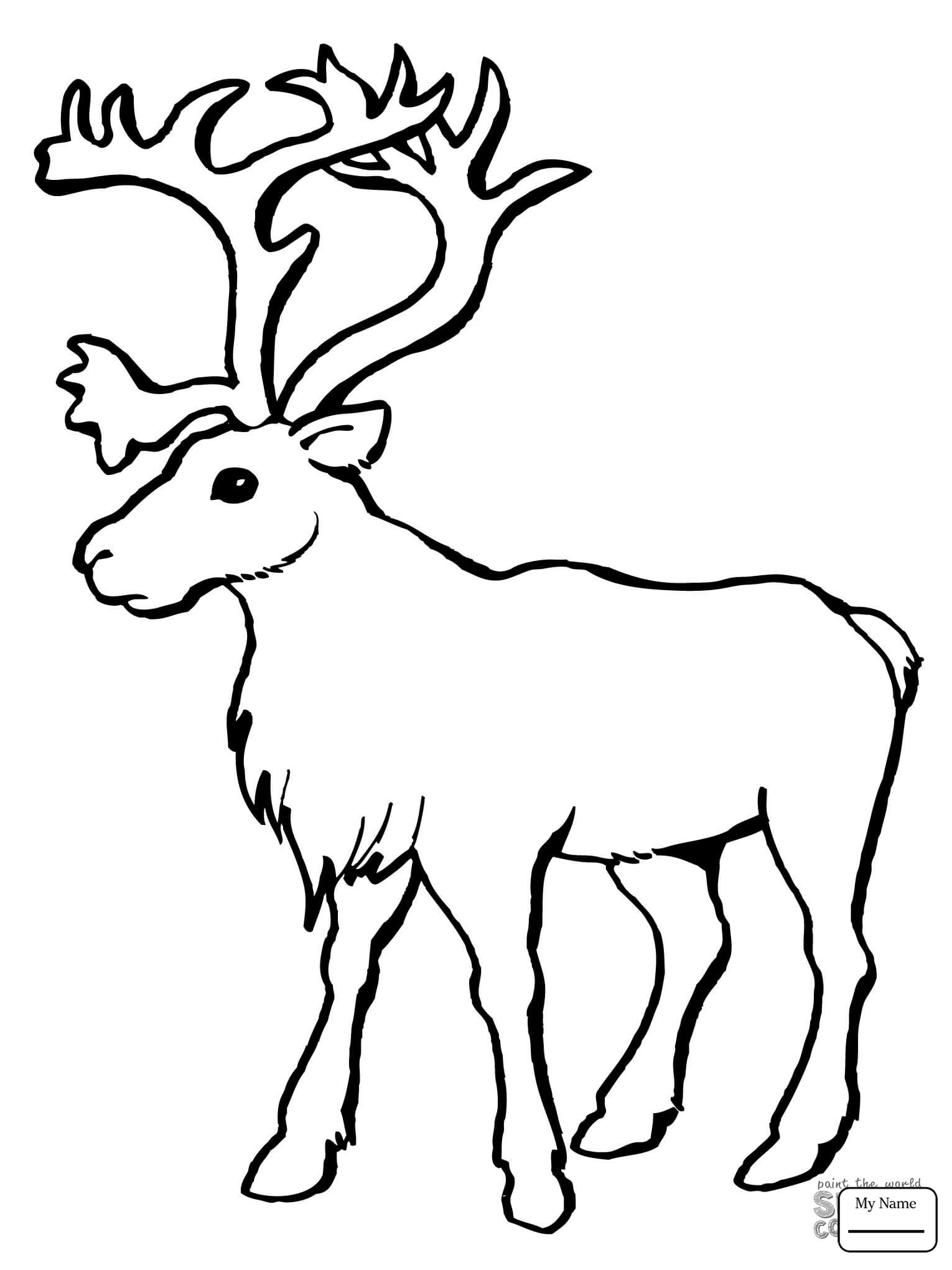 1530x2040 Coloring Pages For Kids Mammals Cartoon Reindeer Reindeer