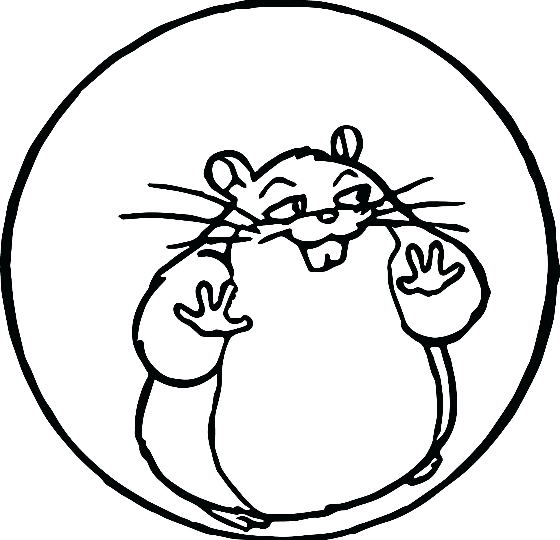 1936x1868 Fantasy Coloring Pages Realistic Hamster Cute Sheets Christmas