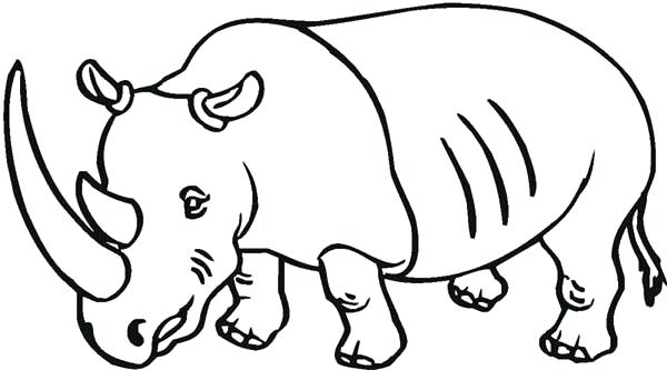 600x333 Rhinoceros Coloring Page Vector Illustration Of Cartoon Rhino