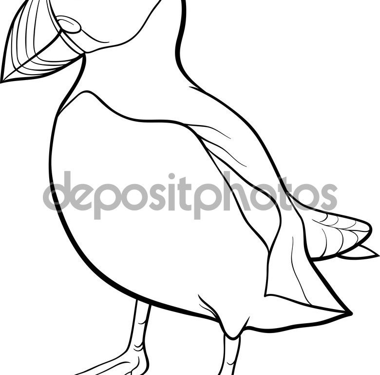 780x768 Puffins Coloring Pages Free Printable Animals To Color Seabird