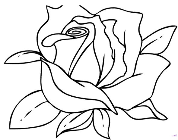 590x465 Pictures Beautiful Pictures Of Cartoon Flowers,