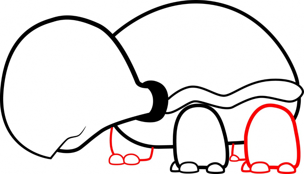 1024x587 Cartoon Turtle Drawings Turtles