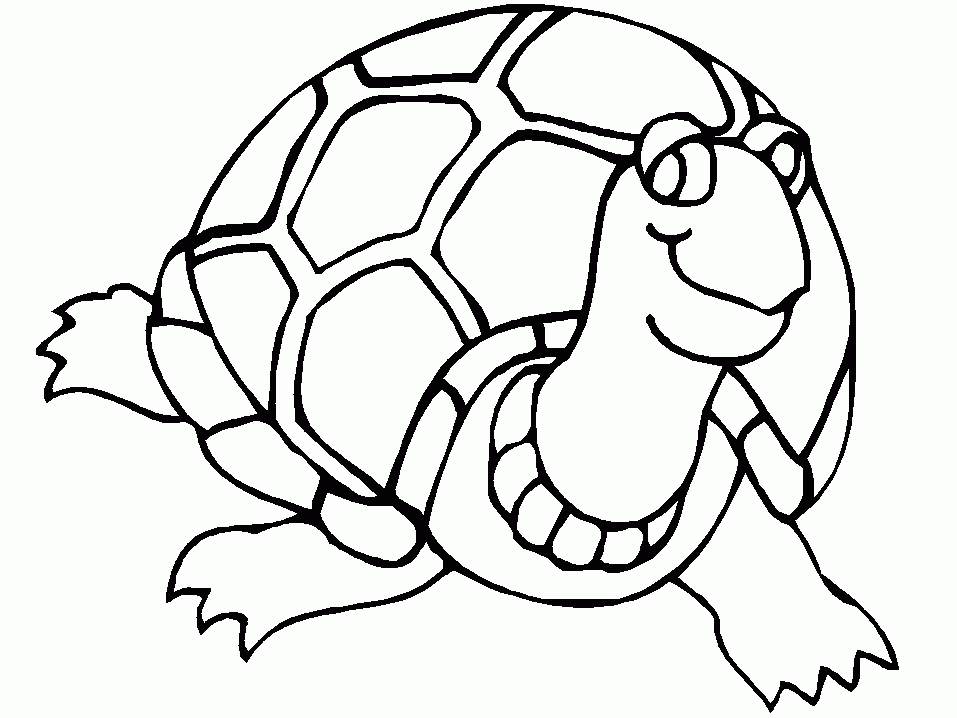 957x718 First Paper Sea Turtle Drawing Coloring Printable Pages Colorine