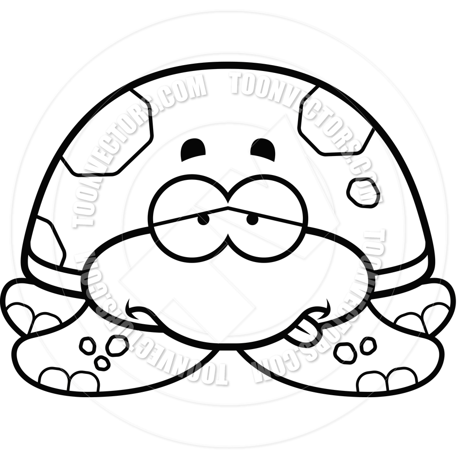 940x940 Sea Turtle Clipart Turtle Head