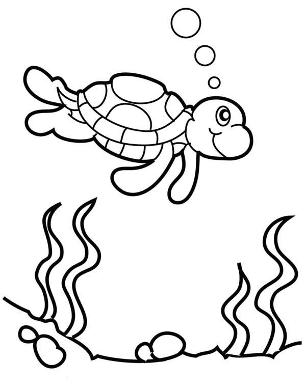 600x764 Cute Sea Turtle Coloring Pages
