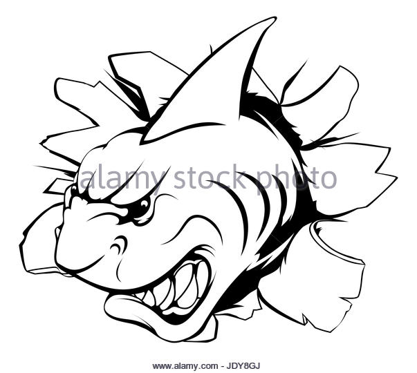 603x540 Shark Teeth Drawing Stock Photos Amp Shark Teeth Drawing Stock