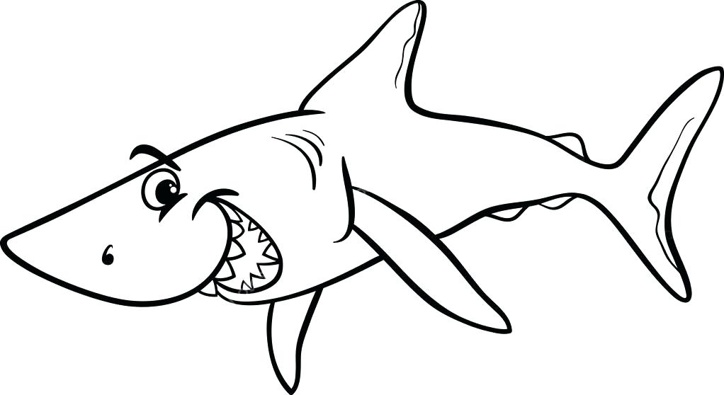 1022x558 Shark Coloring Book Together With Coloring Pages Of Sharks Sharks