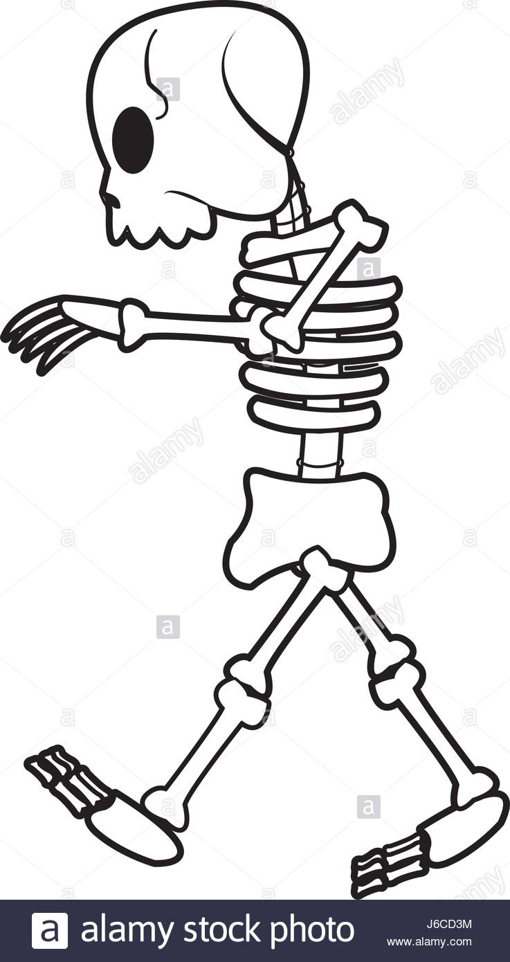 737x1390 Cartoon Skeleton Bones Mystery Fairy Tale Stock Vector Art