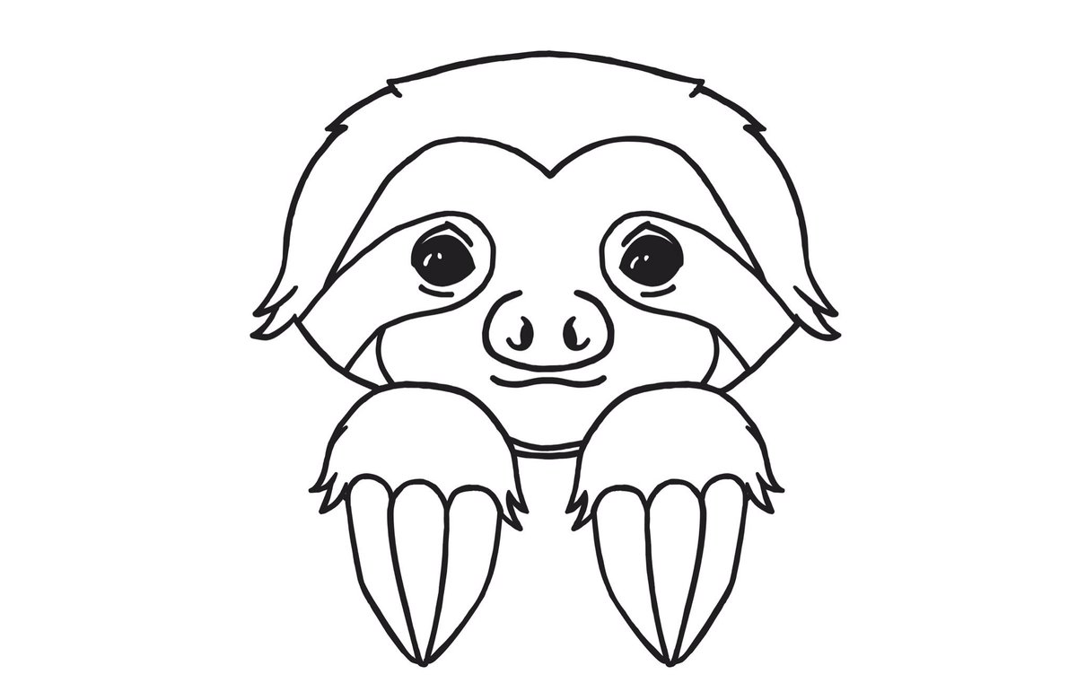 1200x761 Sloth Nation (@shopslothinc) Twitter