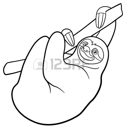 450x450 Sloth Stock Photos. Royalty Free Business Images