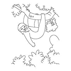 230x230 Top 10 Sloth Coloring Pages For Your Toddler
