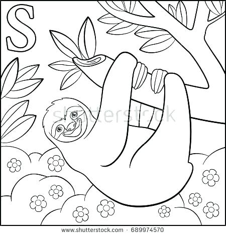 450x470 Sloth Animal Coloring Pages Affan