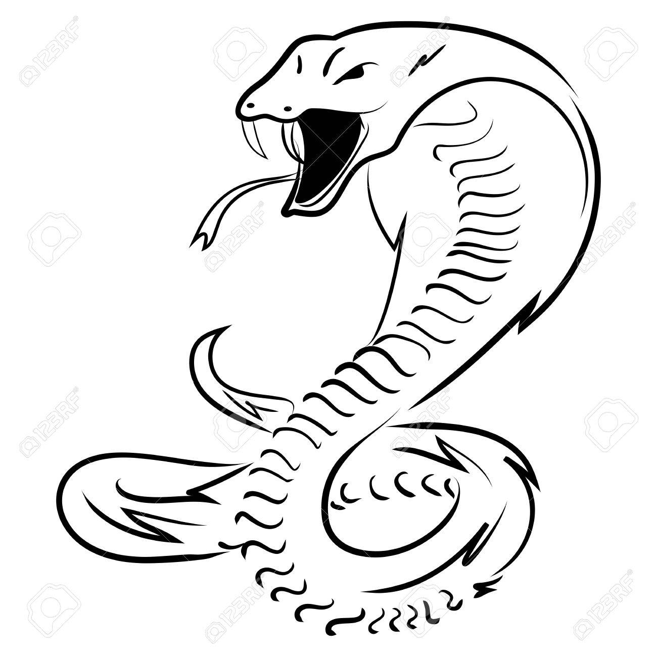 Cartoon Snake Drawing