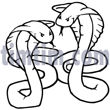 365x363 Free Drawing Of Snakes Cobra Bw From The Category Reptiles