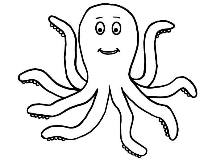 700x527 Drawn Octopus Aquatic Animal