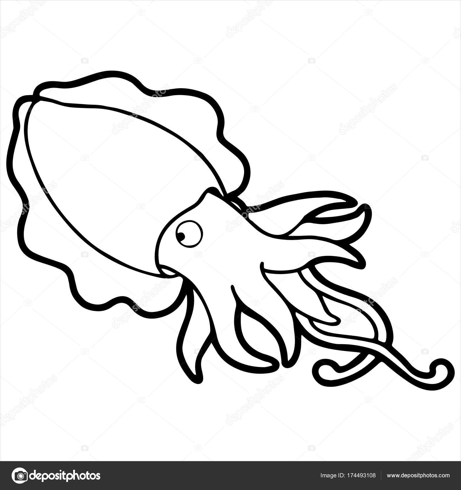 1600x1700 Vector Illustration Of Cartoon Squid On The White Background
