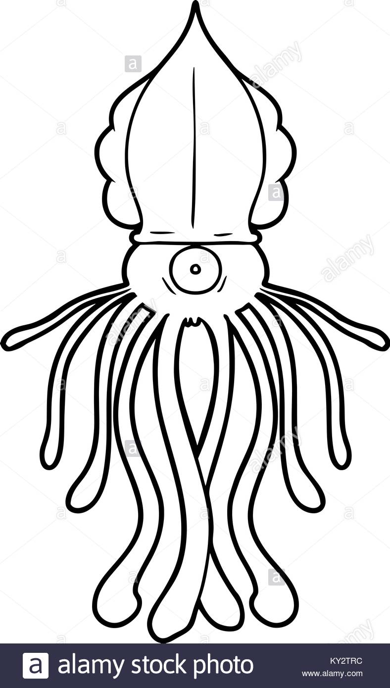 788x1390 Cartoon Squid Stock Vector Art Amp Illustration, Vector Image