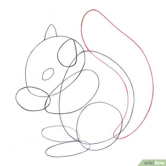 557x559 4 Easy Ways To Draw A Squirrel (With Pictures)