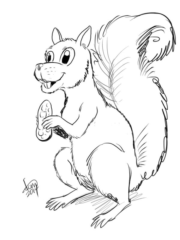 600x800 Sketch A Day 003 Cartoon Squirrel By Davidcmatthews