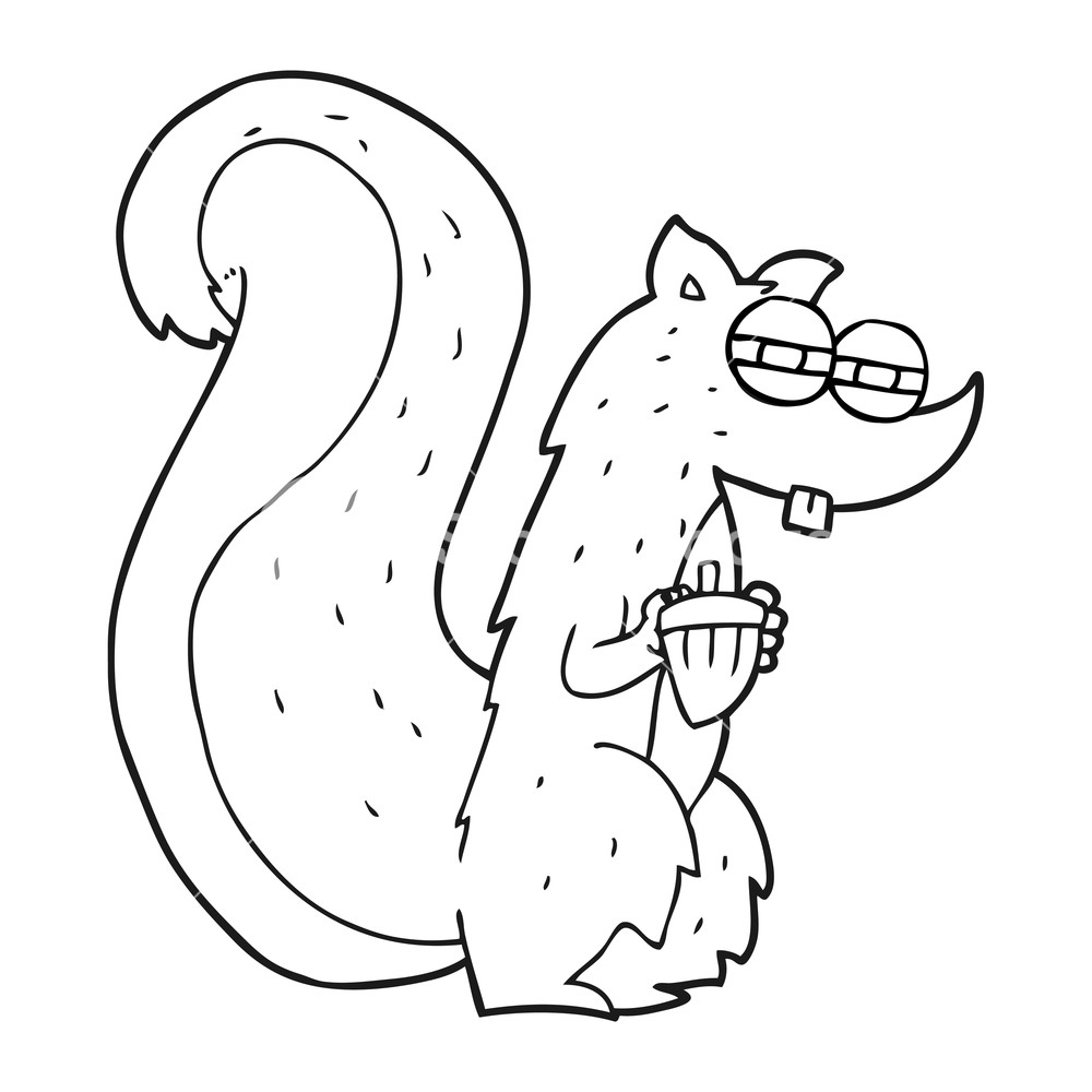 1000x1000 Freehand Drawn Black And White Cartoon Squirrel With Nut Royalty