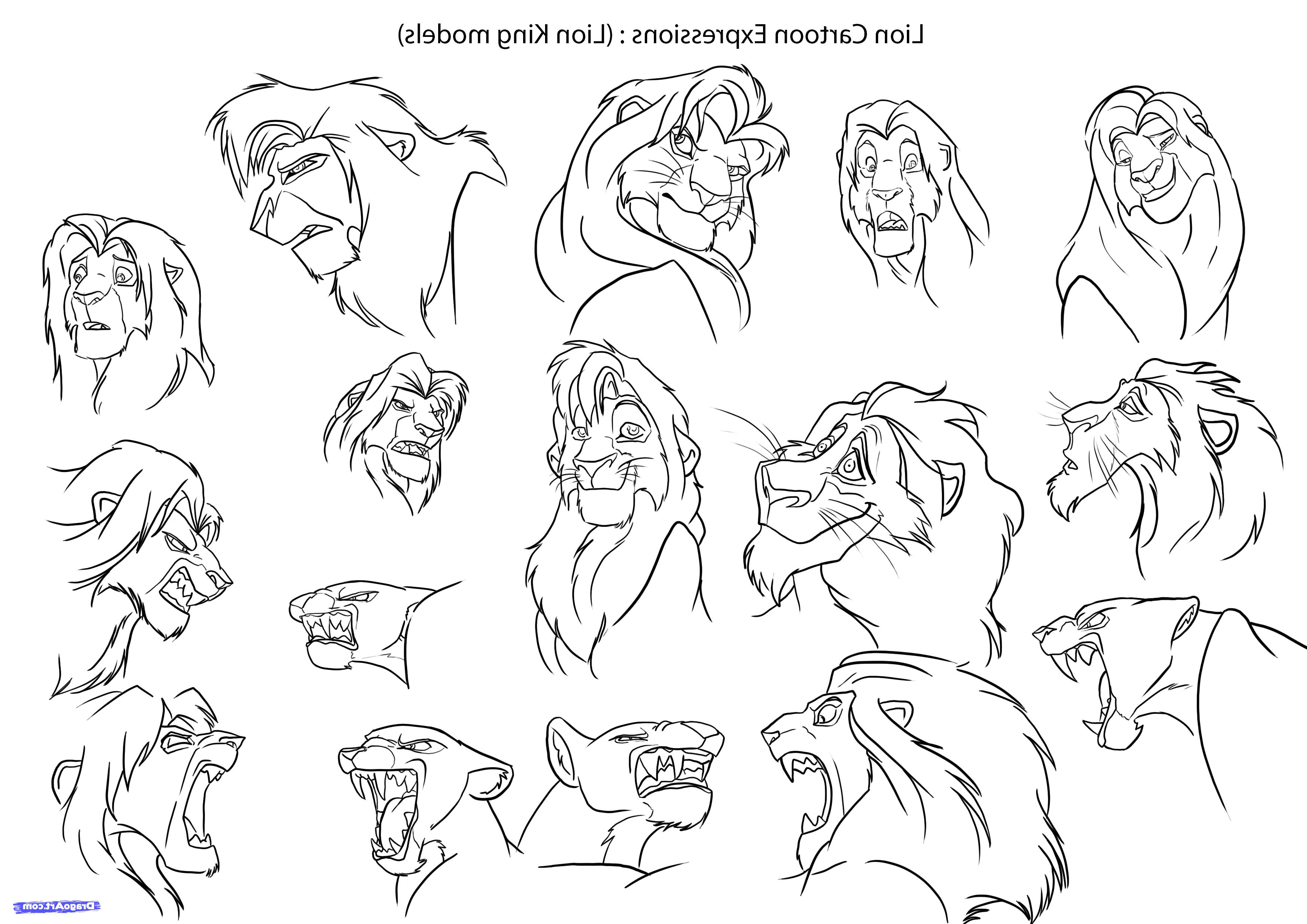 3508x2480 Step By Step Drawing Cartoon Animals