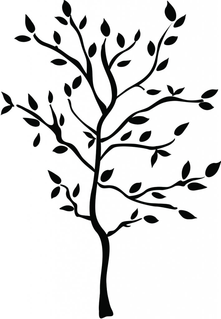 709x1024 Drawings Of Trees With Branches Cartoon Trees With Branches