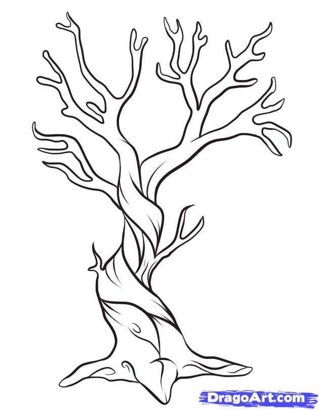 630x810 How To Draw A Tree Narrated Step By Step