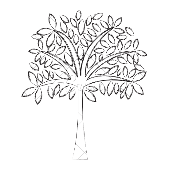 550x550 Sketch Draw Tree Cartoon