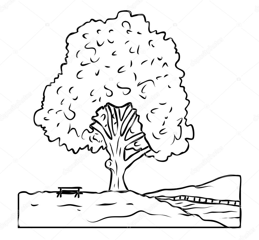 1023x950 Tree Landscape Drawing Stock Vector Baavli