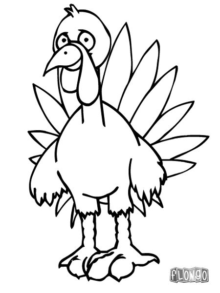 Cartoon Turkey Drawing