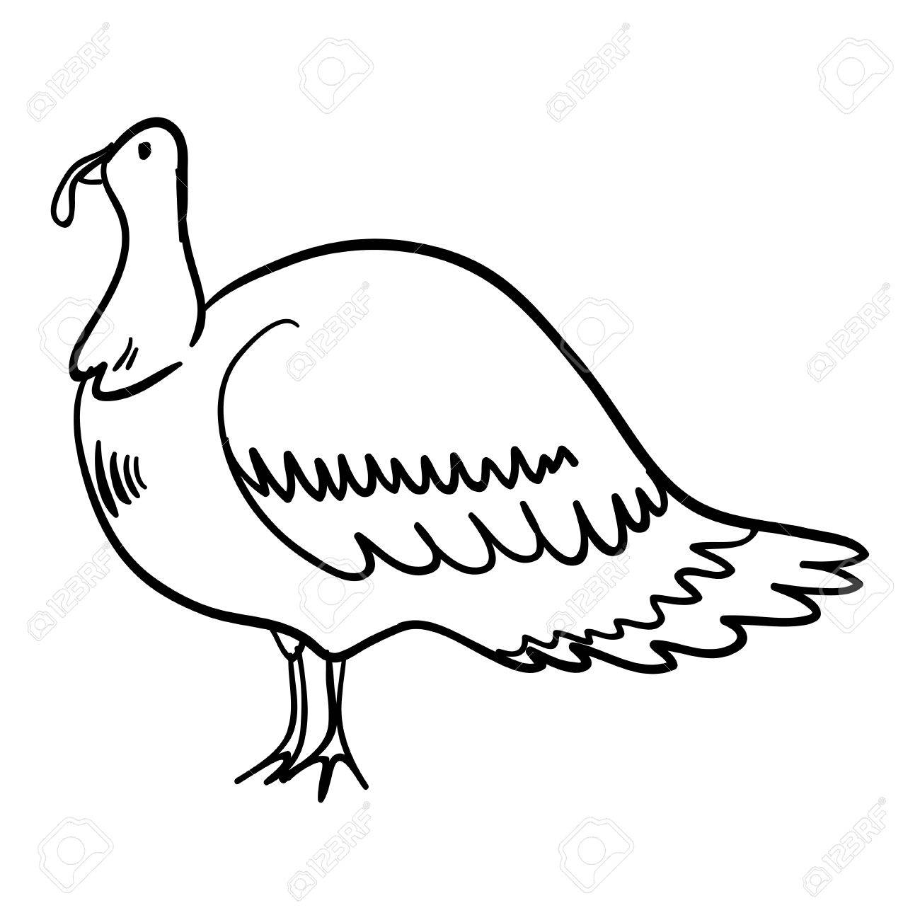 1300x1300 Vector Illustration With Handy Drawn Outline Turkey. Cartoon
