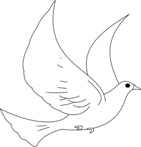 288x300 Drawn Turtle Dove Cute Cartoon