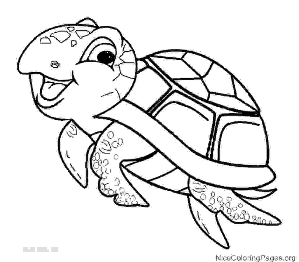 1024x899 How To Draw Turtle Step By Step And Coloring Sheets