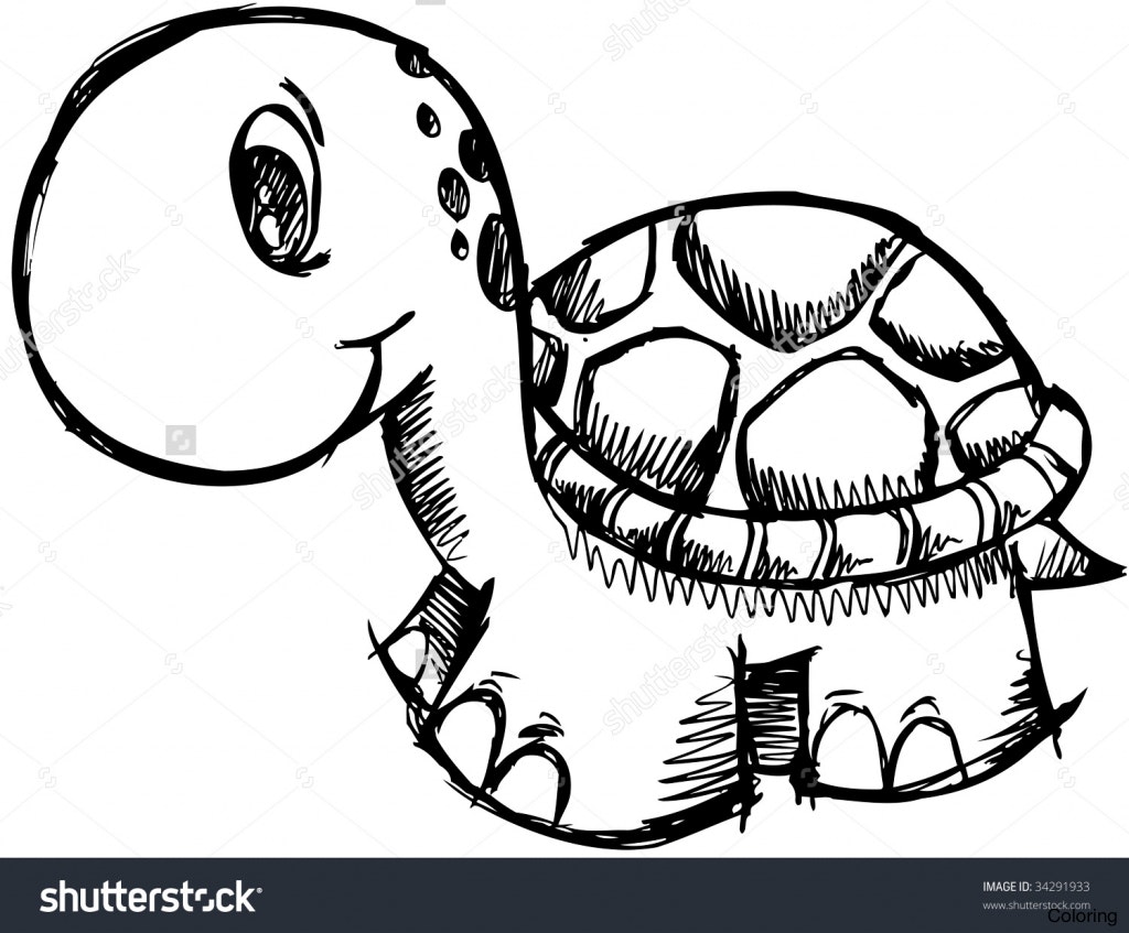 1024x847 Cartoon Turtle Drawing Maxresdefault Coloring Pages Drawings