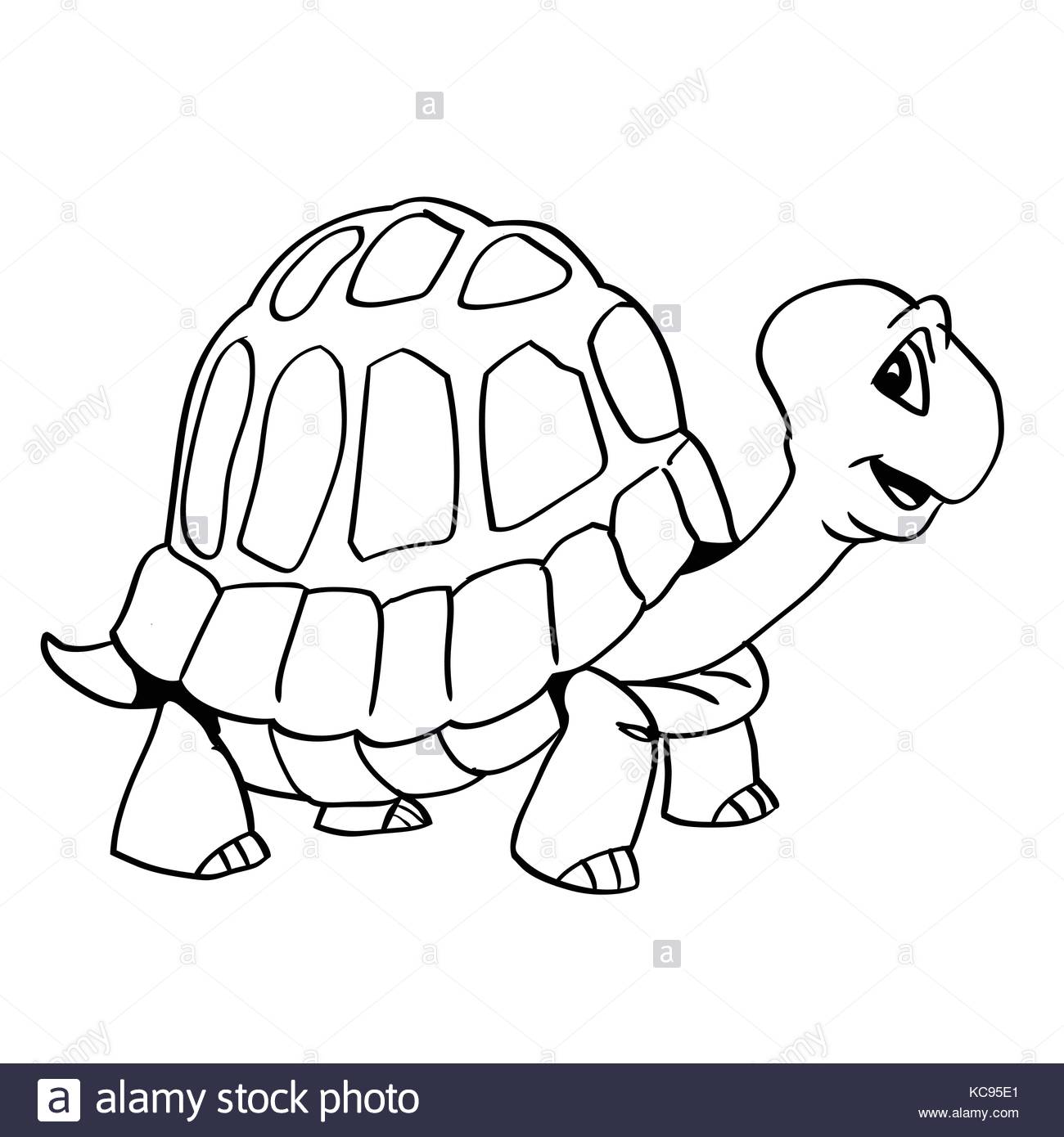 1300x1390 Cartoon Turtle Stock Photos Amp Cartoon Turtle Stock Images