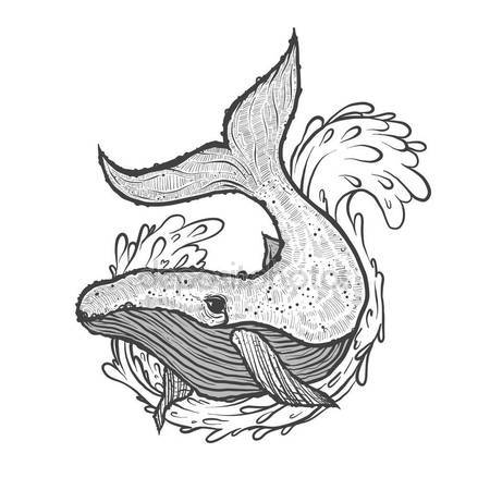 450x450 Hand Drawn Vector Illustration Of Whale With Wave And Splash