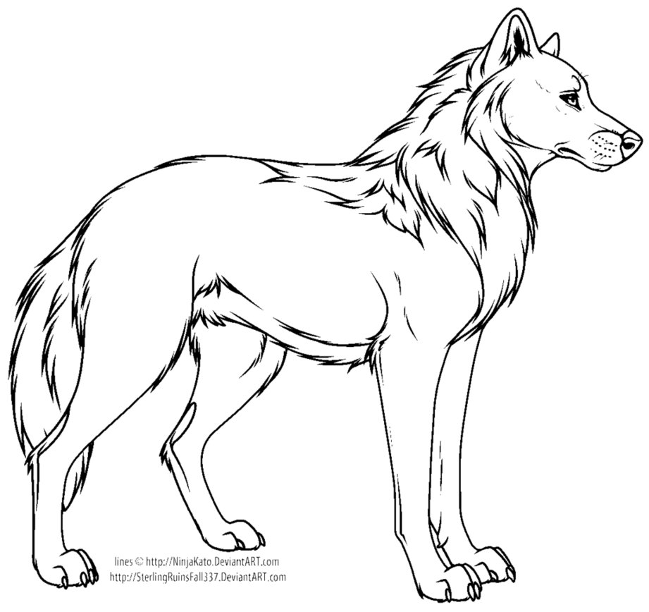 921x868 Cartoon Wolf Or Dog Line Art Ms Paint By Crysta789