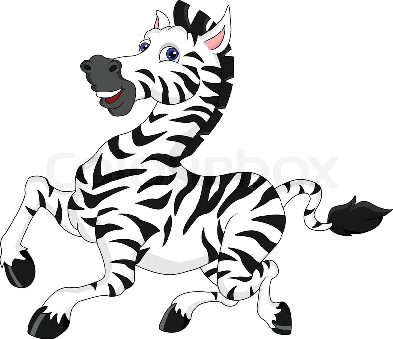 800x689 Cute Zebra Cartoon Stock Vector Colourbox