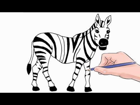 480x360 How To Draw A Zebra Easy Step By Step