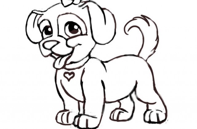 640x420 Simple Puppy Drawing How To Draw A Face Step Easy Puppies